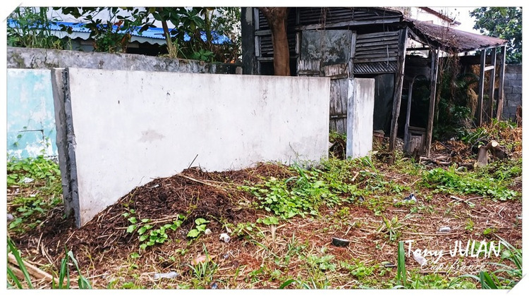 Ma-Cabane - Vente Terrain BASSE TERRE, 179 m²