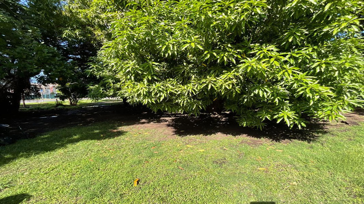 Ma-Cabane - Vente Terrain BASSE TERRE, 424 m²