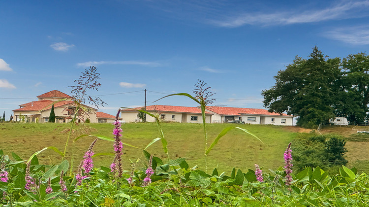 Ma-Cabane - Vente Terrain BASSOUES, 3000 m²