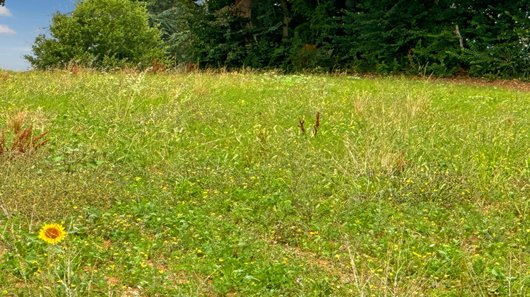 Ma-Cabane - Vente Terrain BASSOUES, 3000 m²