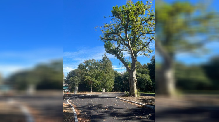 Ma-Cabane - Vente Terrain BASSUSSARRY, 687 m²