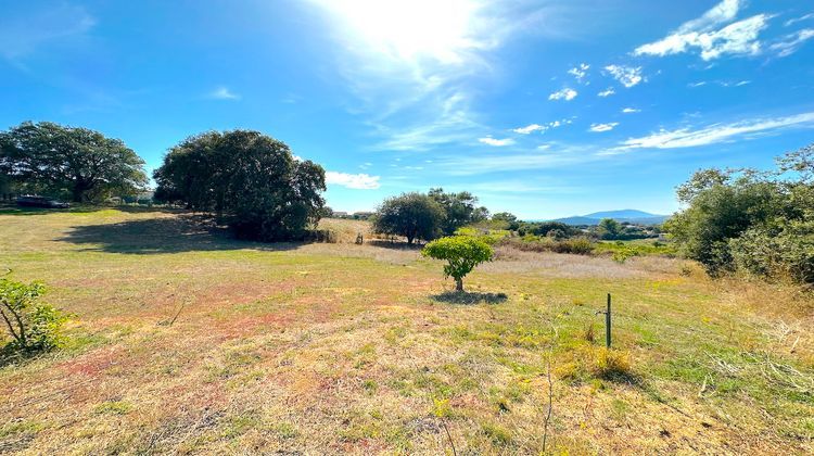 Ma-Cabane - Vente Terrain BASTELICACCIA, 3455 m²