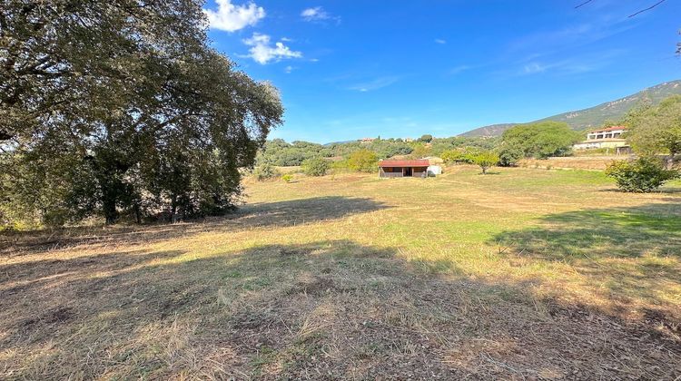 Ma-Cabane - Vente Terrain BASTELICACCIA, 3455 m²