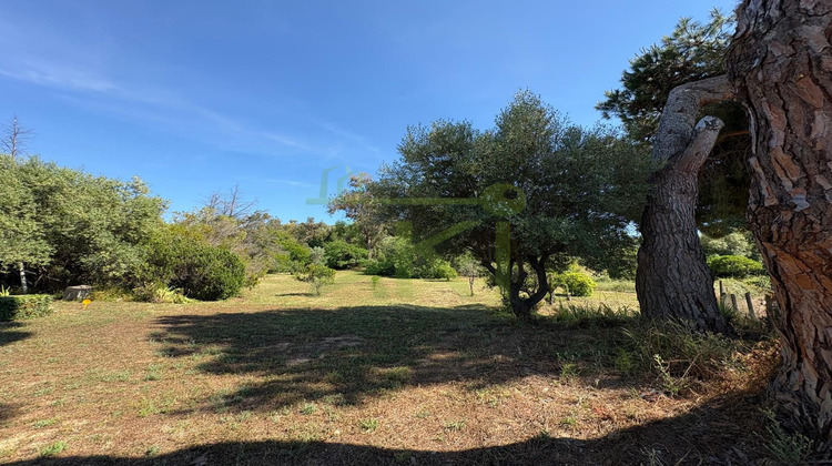 Ma-Cabane - Vente Terrain Bastelicaccia, 1226 m²