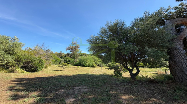 Ma-Cabane - Vente Terrain Bastelicaccia, 1226 m²