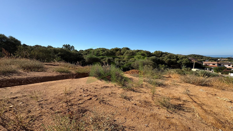 Ma-Cabane - Vente Terrain Bastelicaccia, 1168 m²