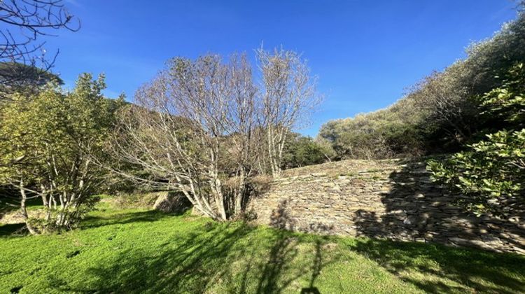 Ma-Cabane - Vente Terrain Bastia, 1948 m²