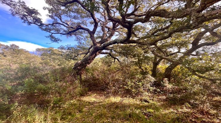 Ma-Cabane - Vente Terrain BASTIA, 4410 m²