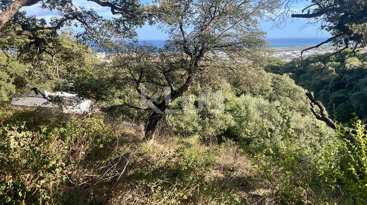 Ma-Cabane - Vente Terrain BASTIA, 2884 m²