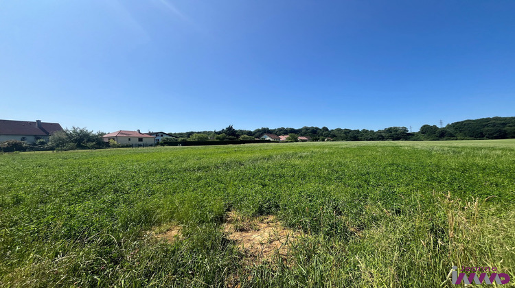 Ma-Cabane - Vente Terrain Bavilliers, 579 m²