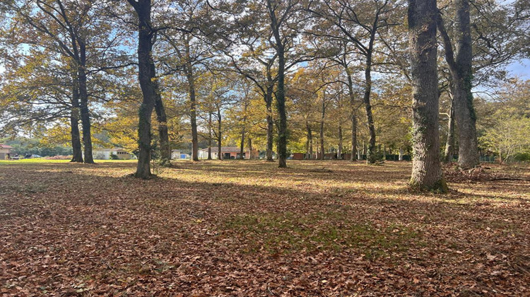 Ma-Cabane - Vente Terrain BAZAS, 3600 m²