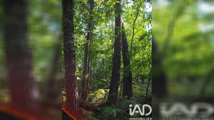 Ma-Cabane - Vente Terrain Bazas, 4400 m²