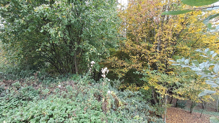 Ma-Cabane - Vente Terrain Bazeilles, 1515 m²