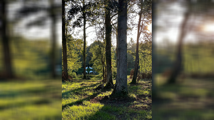 Ma-Cabane - Vente Terrain BAZOCHES-SUR-LE-BETZ, 2316 m²