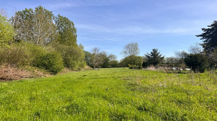 Ma-Cabane - Vente Terrain BEAUFAY, 8776 m²