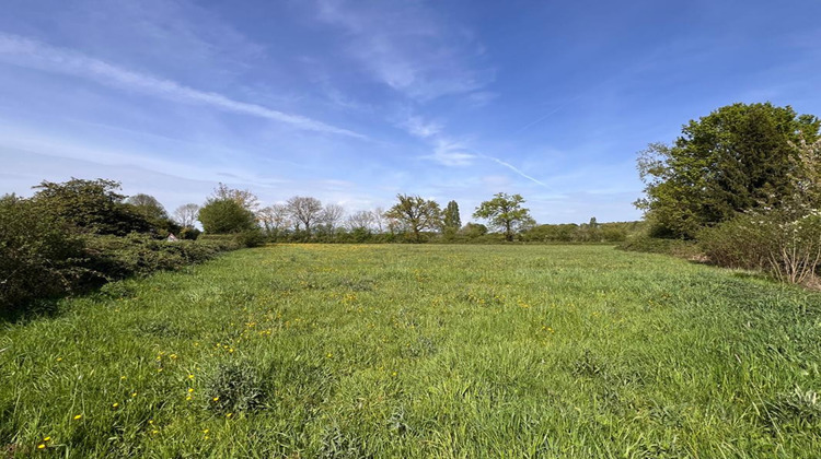 Ma-Cabane - Vente Terrain BEAUFAY, 7100 m²