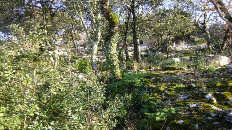 Ma-Cabane - Vente Terrain Beaume, 2058 m²