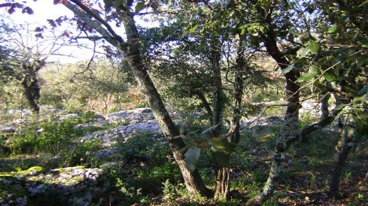 Ma-Cabane - Vente Terrain Beaume, 2058 m²