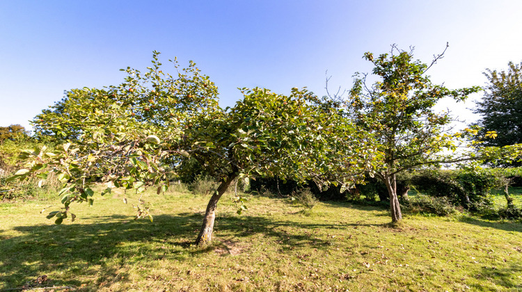 Ma-Cabane - Vente Terrain Beaumetz, 908 m²