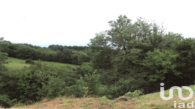 Ma-Cabane - Vente Terrain Beaumont, 2865 m²