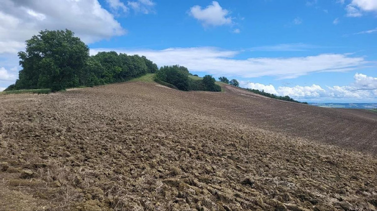 Ma-Cabane - Vente Terrain BEAUMONT DE LOMAGNE, 200000 m²