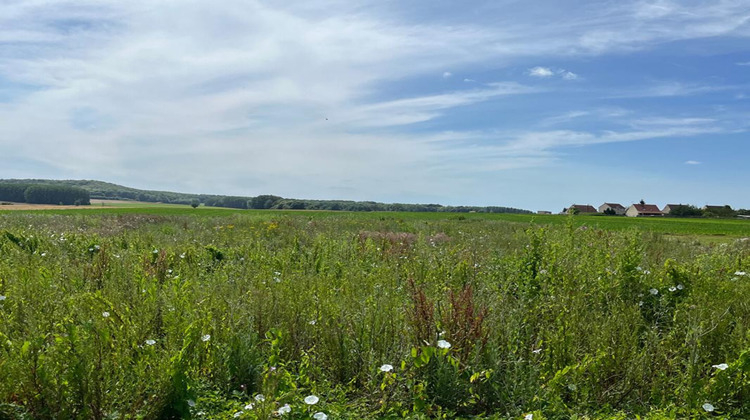 Ma-Cabane - Vente Terrain BEAURAINS LES NOYON, 3744 m²
