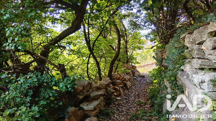 Ma-Cabane - Vente Terrain Bédarieux, 9898 m²