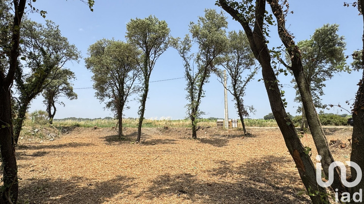 Ma-Cabane - Vente Terrain Bedarrides, 650 m²