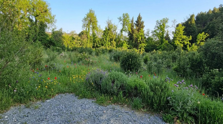 Ma-Cabane - Vente Terrain BEDARRIDES, 263 m²