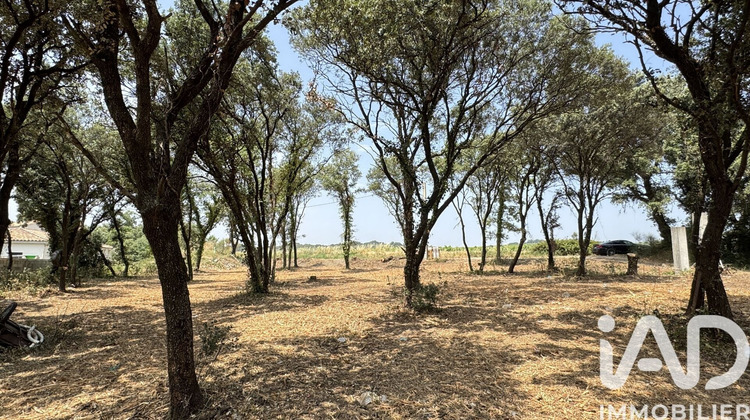 Ma-Cabane - Vente Terrain Bédarrides, 820 m²