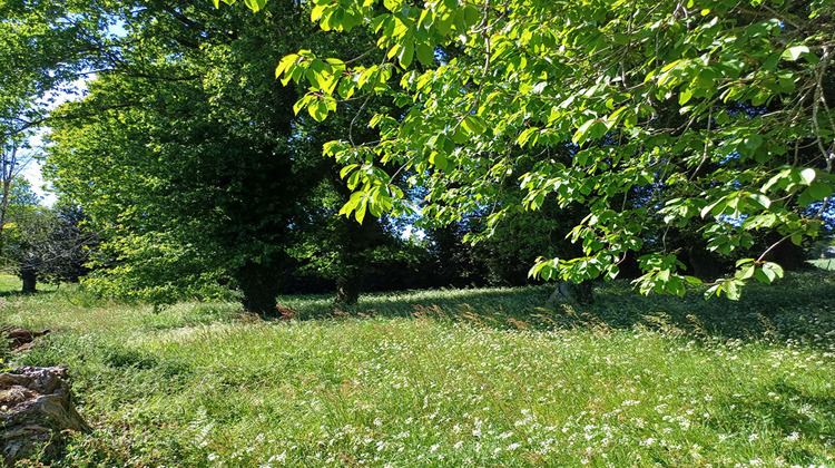 Ma-Cabane - Vente Terrain BEGANNE, 2426 m²