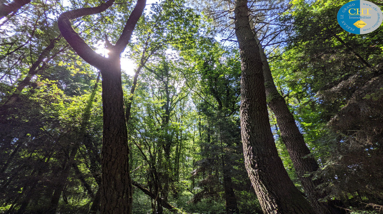 Ma-Cabane - Vente Terrain Beignon, 6471 m²