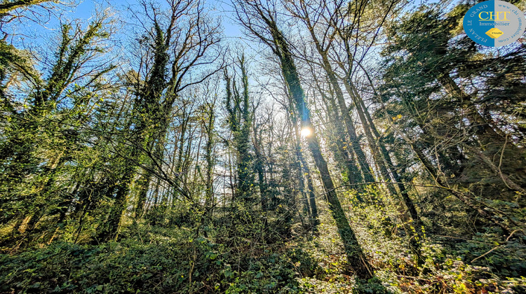 Ma-Cabane - Vente Terrain Beignon, 6471 m²