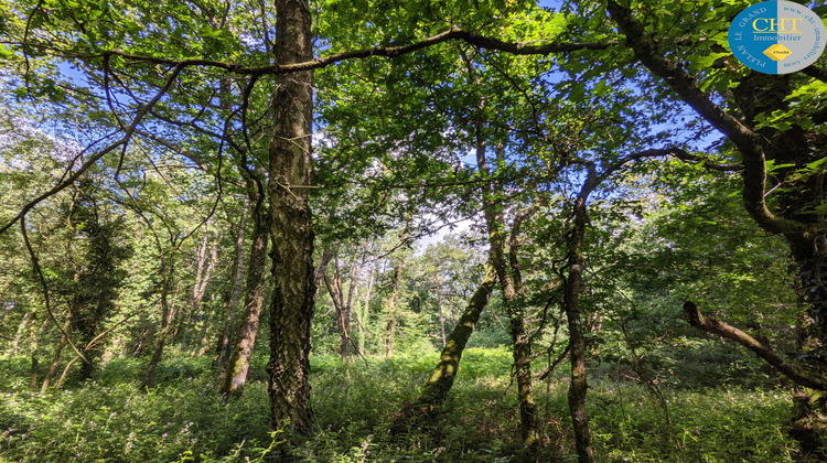 Ma-Cabane - Vente Terrain Beignon, 6471 m²