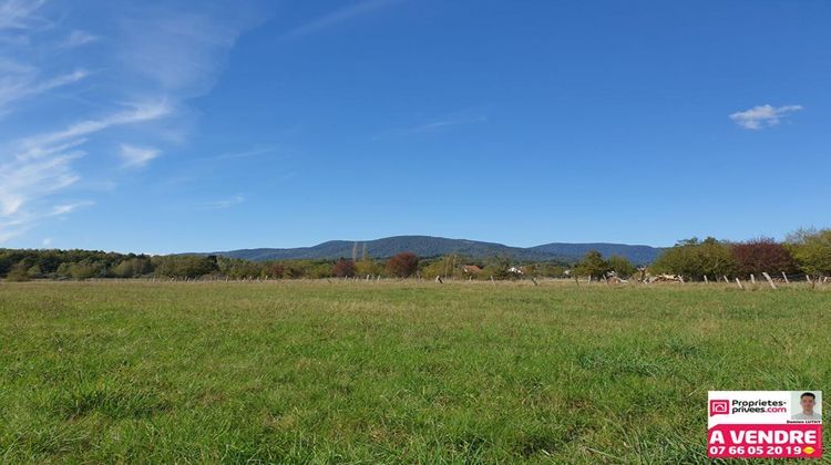 Ma-Cabane - Vente Terrain BELFORT, 1423 m²