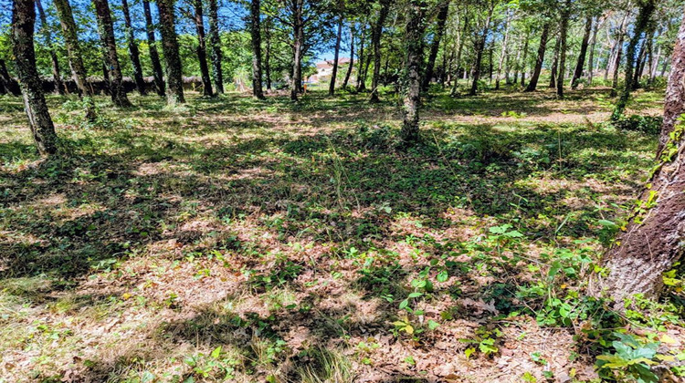 Ma-Cabane - Vente Terrain BELIN BELIET, 472 m²