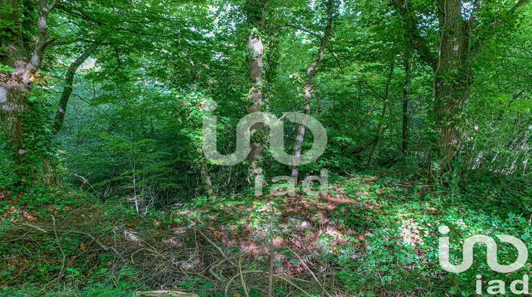 Ma-Cabane - Vente Terrain Bellot, 3829 m²