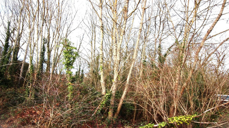 Ma-Cabane - Vente Terrain BELLUIRE, 4273 m²