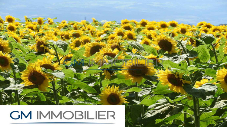 Ma-Cabane - Vente Terrain Bénesse-Maremne, 540 m²