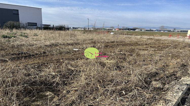 Ma-Cabane - Vente Terrain Benfeld, 500 m²