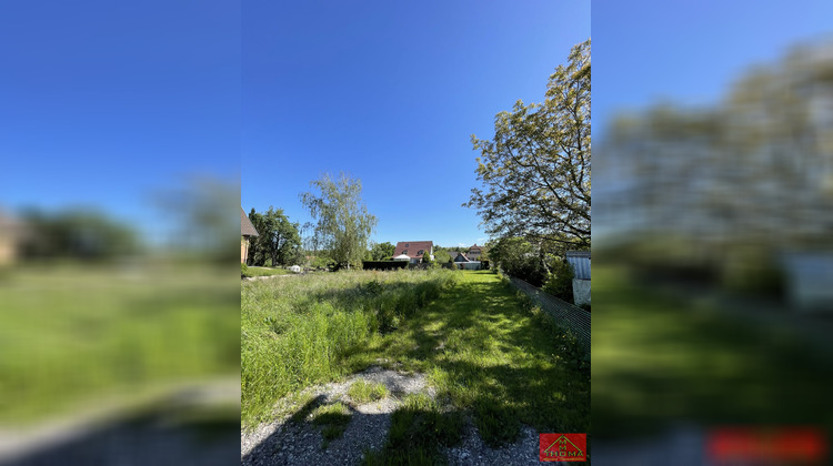 Ma-Cabane - Vente Terrain Berentzwiller, 787 m²