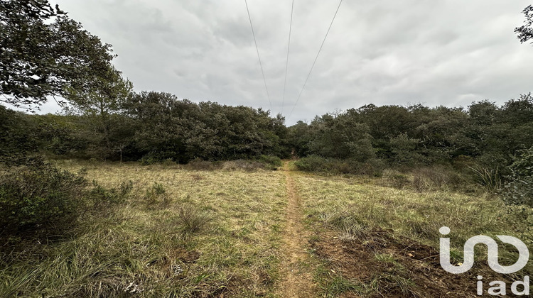 Ma-Cabane - Vente Terrain Bernis, 3861 m²