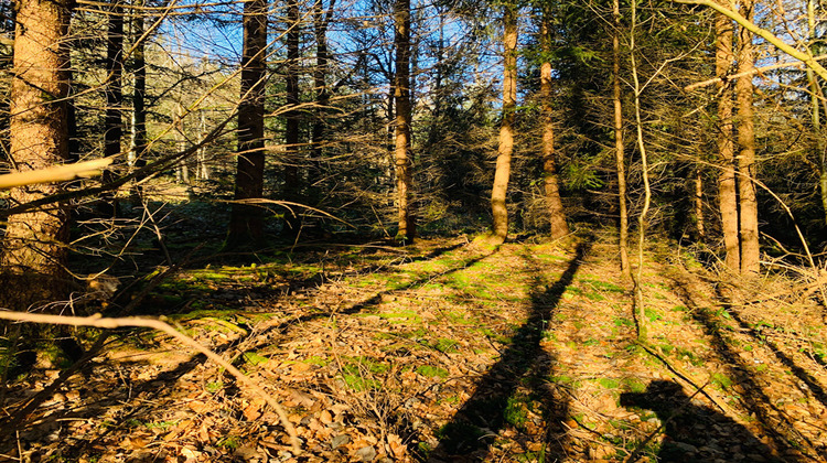 Ma-Cabane - Vente Terrain BERTRICHAMPS, 8020 m²