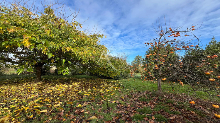 Ma-Cabane - Vente Terrain BESSIERES, 3500 m²