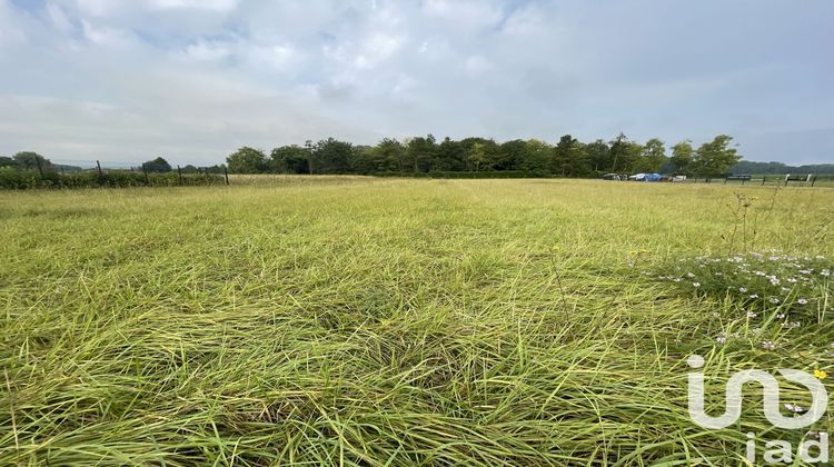 Ma-Cabane - Vente Terrain Bétheniville, 4503 m²