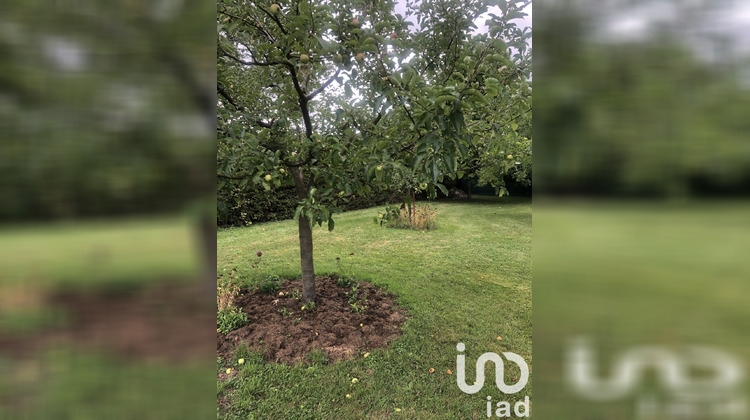 Ma-Cabane - Vente Terrain Bettwiller, 807 m²