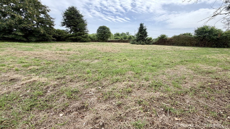 Ma-Cabane - Vente Terrain Beuzeville, 1500 m²
