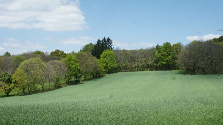 Ma-Cabane - Vente Terrain BEYNAT, 31080 m²