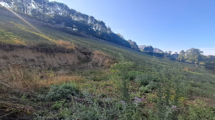 Ma-Cabane - Vente Terrain BEYREDE JUMET, 7511 m²
