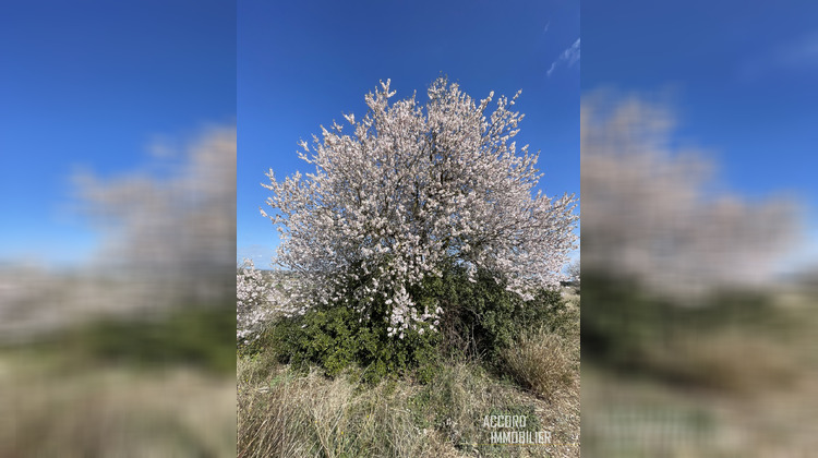 Ma-Cabane - Vente Terrain Béziers, 2490 m²